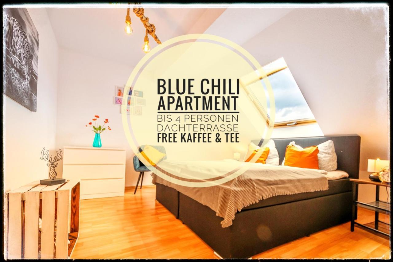 Blue Chili 19 Schoene Dachterasse Zentral Modern Bis 4 Pers 马格德堡 外观 照片